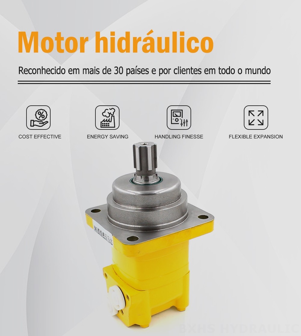 Motor Hidráulico Cicloidal BM5W 195 cc/r 75 Lpm Motor hidráulico